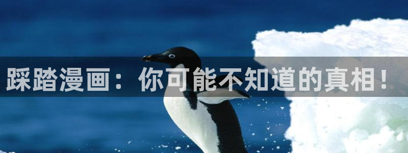 虫虫漫画免费在线阅读