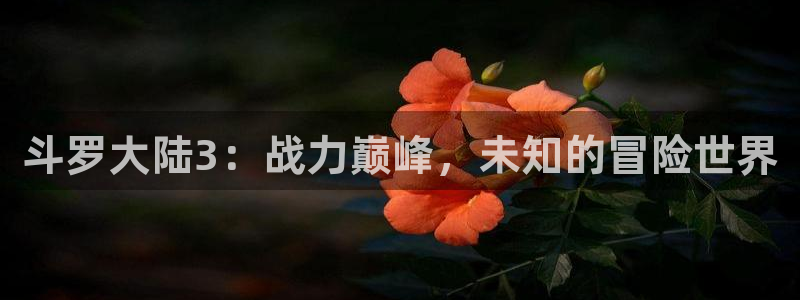 虫虫漫画热门漫画：斗罗大陆3：战力巅峰，未知的冒险世界