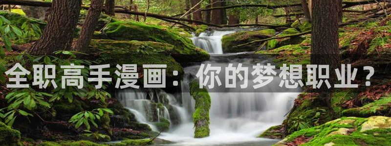 虫虫漫画无遮挡：全职高手漫画：你的梦想职业？