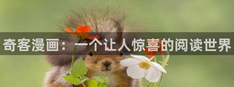 虫虫漫画免费漫画大全：奇客漫画：一个让人惊喜的阅读世界