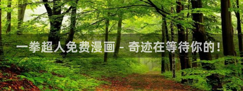 虫虫漫画免费漫画入：一拳超人免费漫画 - 奇迹在等待你的！