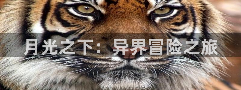 虫虫漫画免费观看韩漫日漫：月光之下：异界冒险之旅