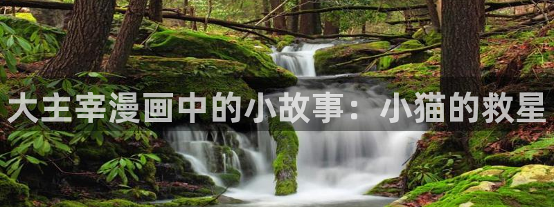 虫虫漫画怎么下载：大主宰漫画中的小故事：小猫的救星