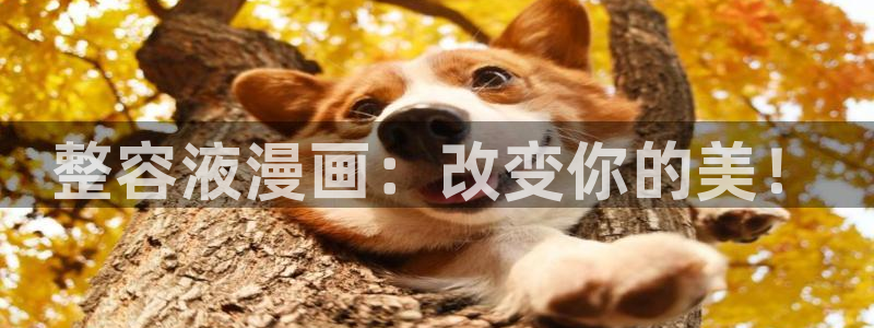 虫虫漫画免费首页入口：整容液漫画：改变你的美！