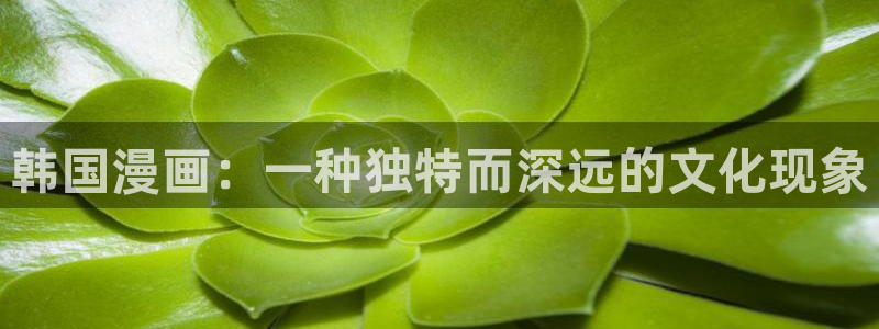 虫虫漫画在线观看免费阅读全文