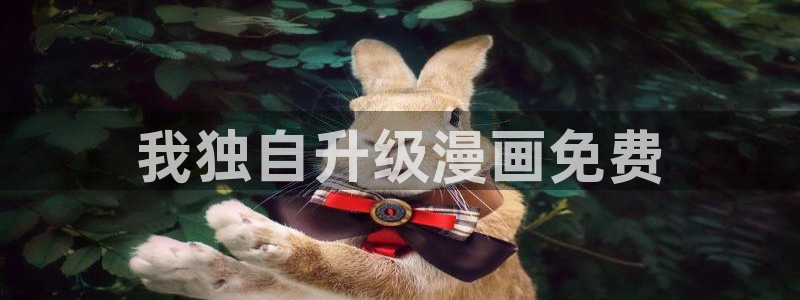 虫虫大漫画