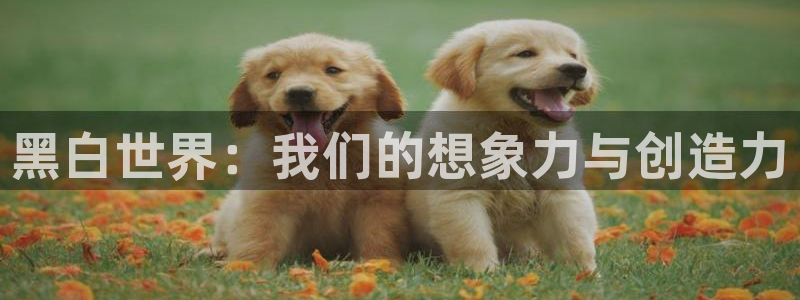 虫虫漫画免费观看漫画
