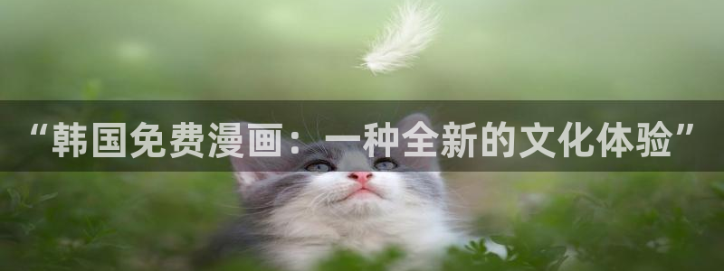 虫虫漫画网在线阅读免费