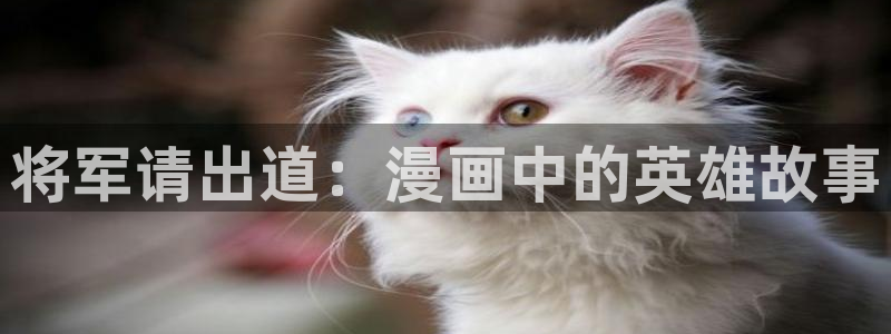 虫虫漫画免费入口