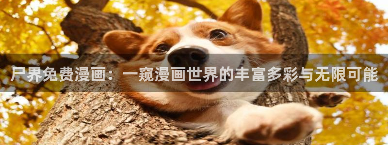 虫虫漫画在线阅读免费观看点击进入口弹窗