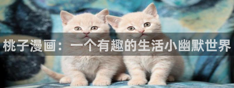 虫虫漫画 网站