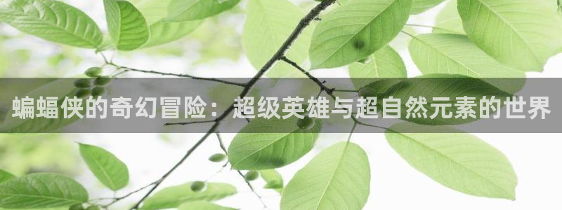 漫画虫虫漫画