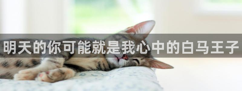 虫虫漫画观看页面漫画入口在哪
