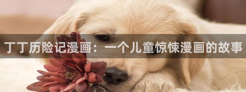 虫虫乐翻天动画片全集